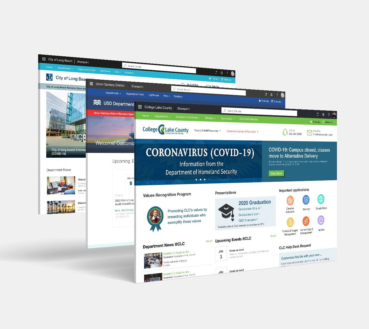 Portfolio